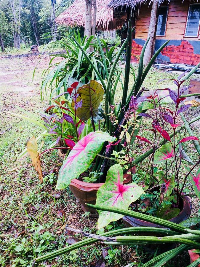 Baan Jing Jai Homestay Resort Lanta Ko Lanta エクステリア 写真