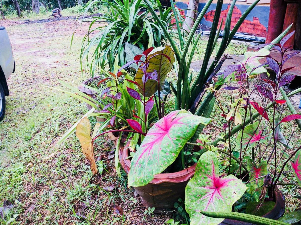 Baan Jing Jai Homestay Resort Lanta Ko Lanta エクステリア 写真
